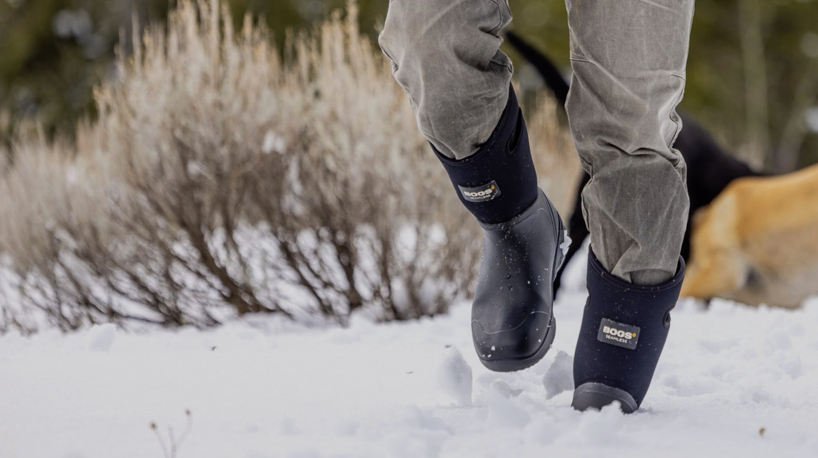 The image shown is of the Men's Bozeman tall insulated winter boots.  The man is walking through the snow with his dogs in the background.