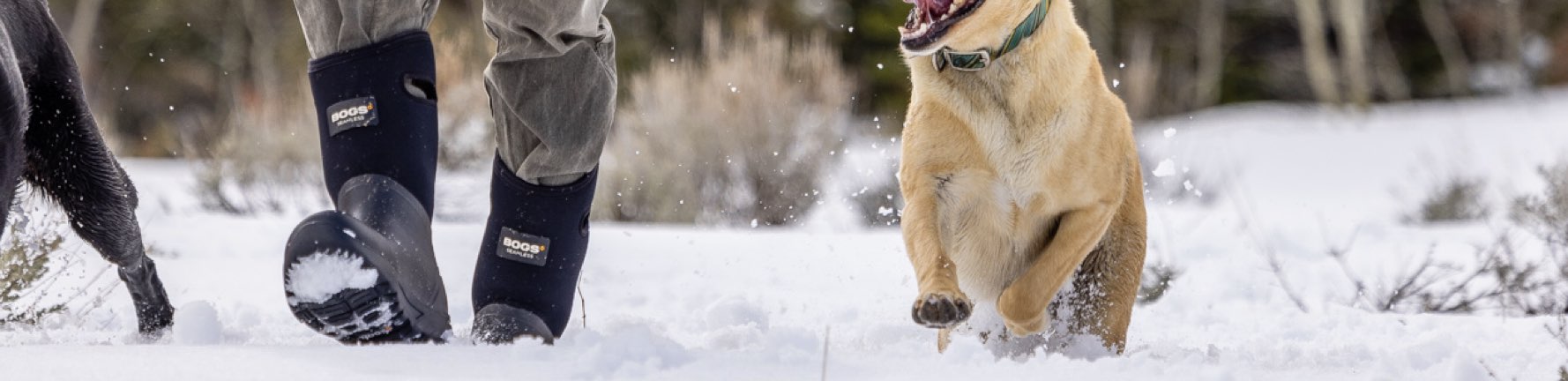 Image features the men's Bozeman Tall in the snow with 2 dogs.