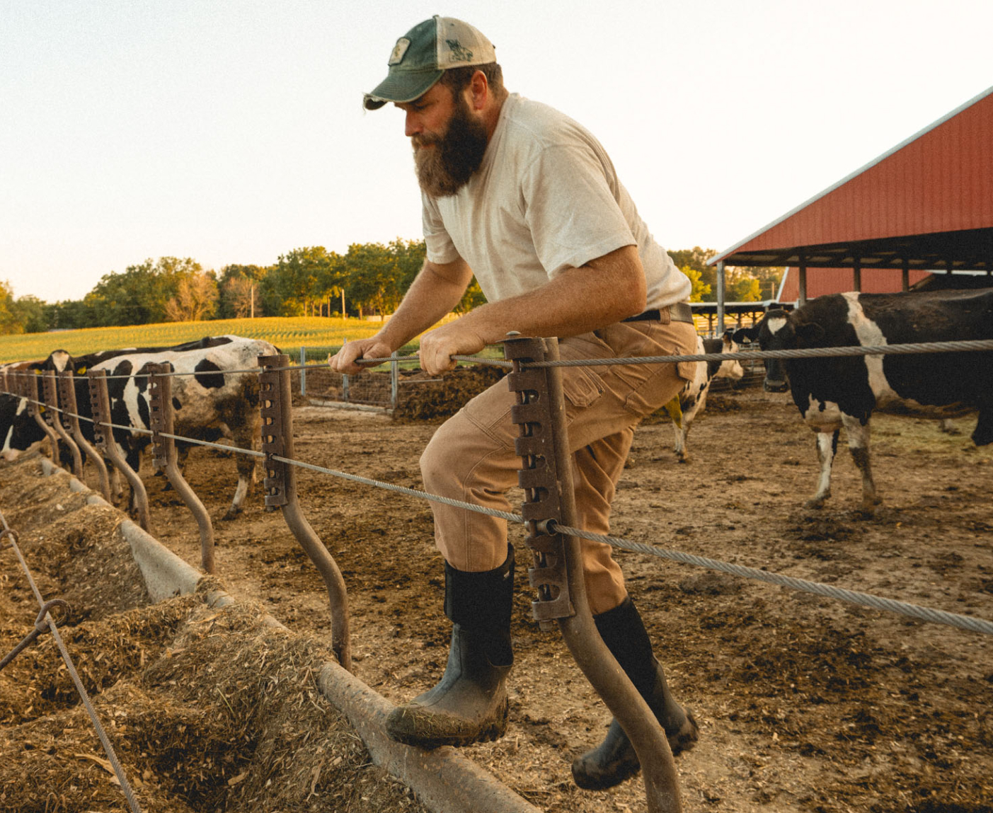 Shop our Men's Seamless boots.  The image shown is a farmer getting ready to hop over a cattle wired fence wearing the Classic Seamless tall. 