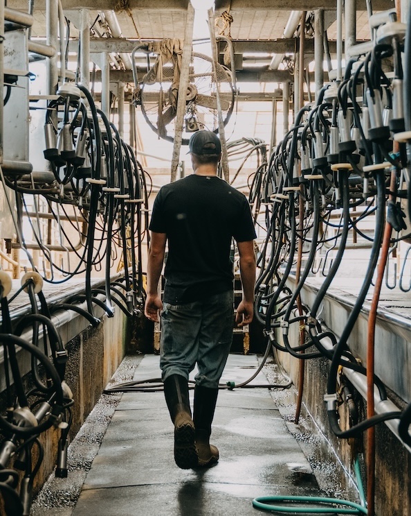 The image shown is a man walking through his cow facility.  Shop our new men’s seamless boots.