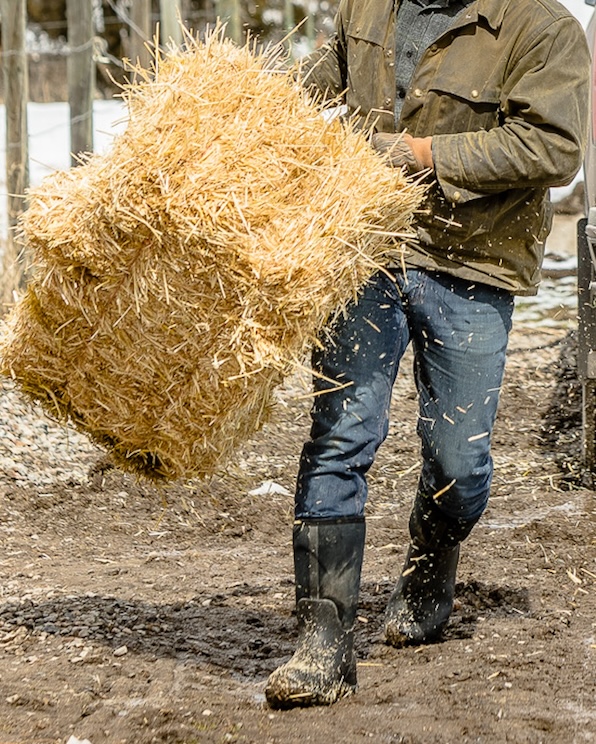 The image shown is a man carrying hay from a truck in the background. 